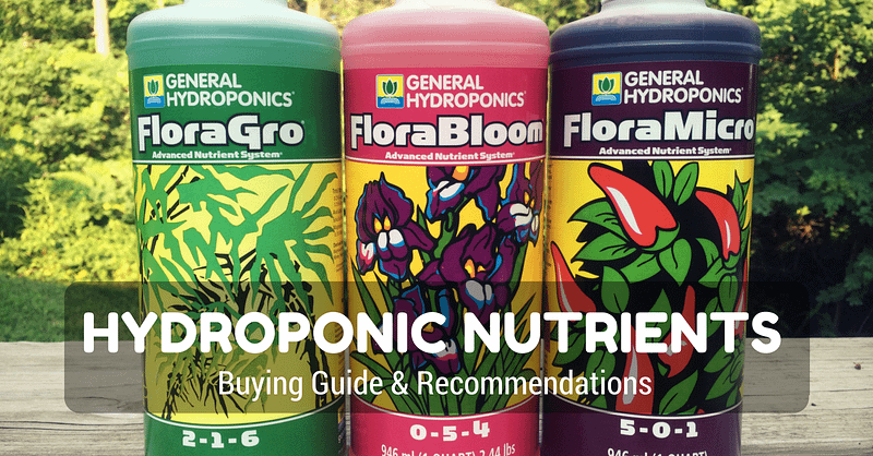 Best Hydroponic Nutrients