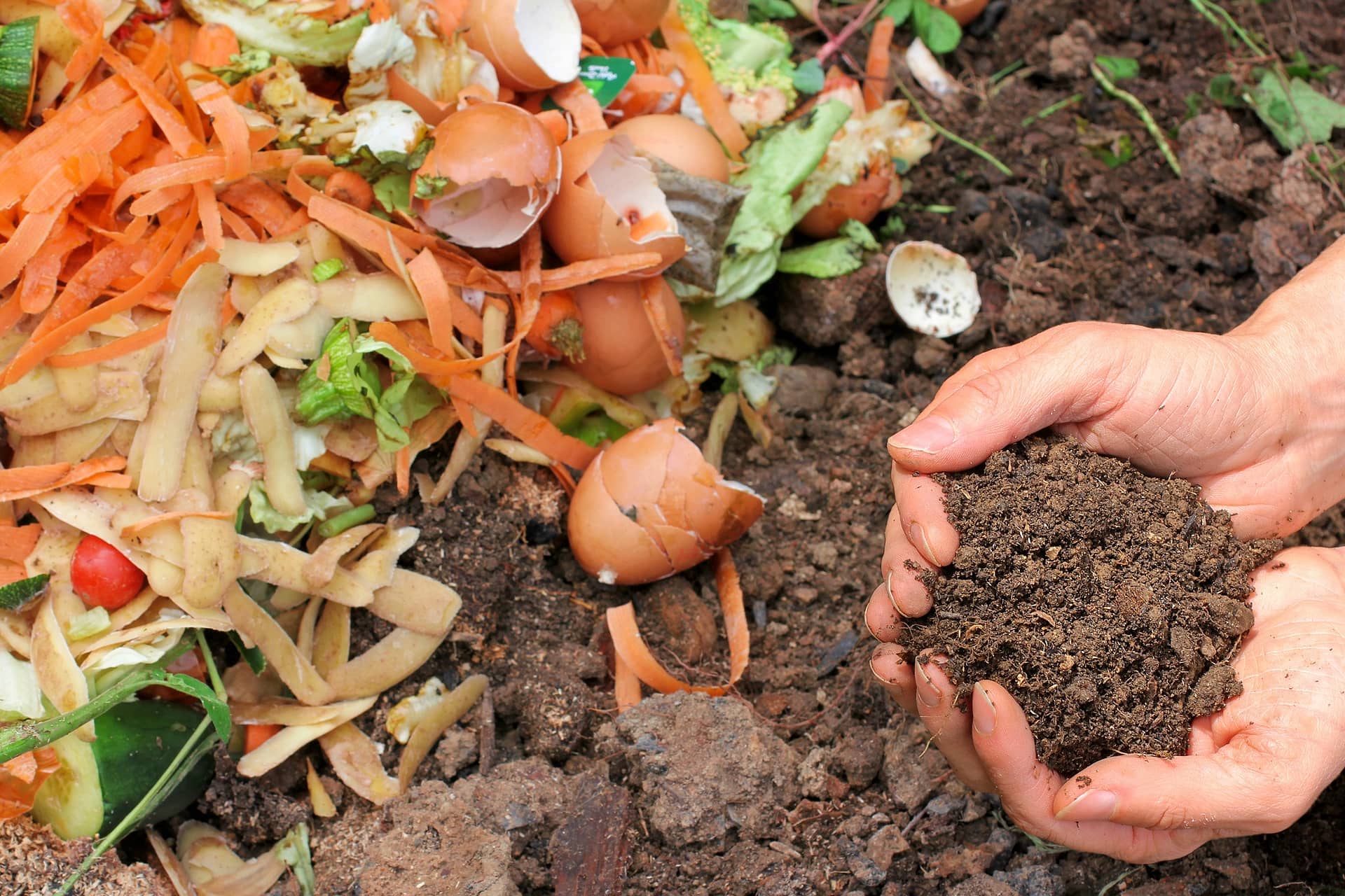 Benefits of composting – How compost helps your garden grow?