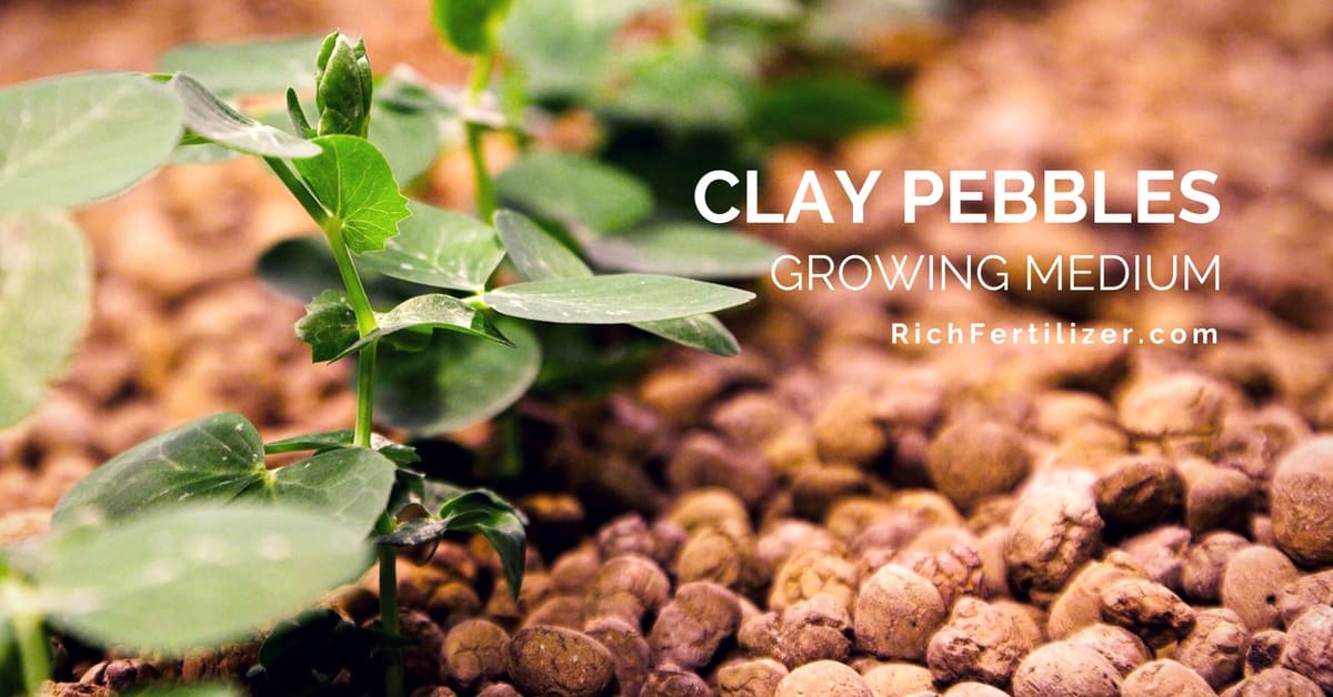 How to use Clay Pebbles and The Benefits Behind It
