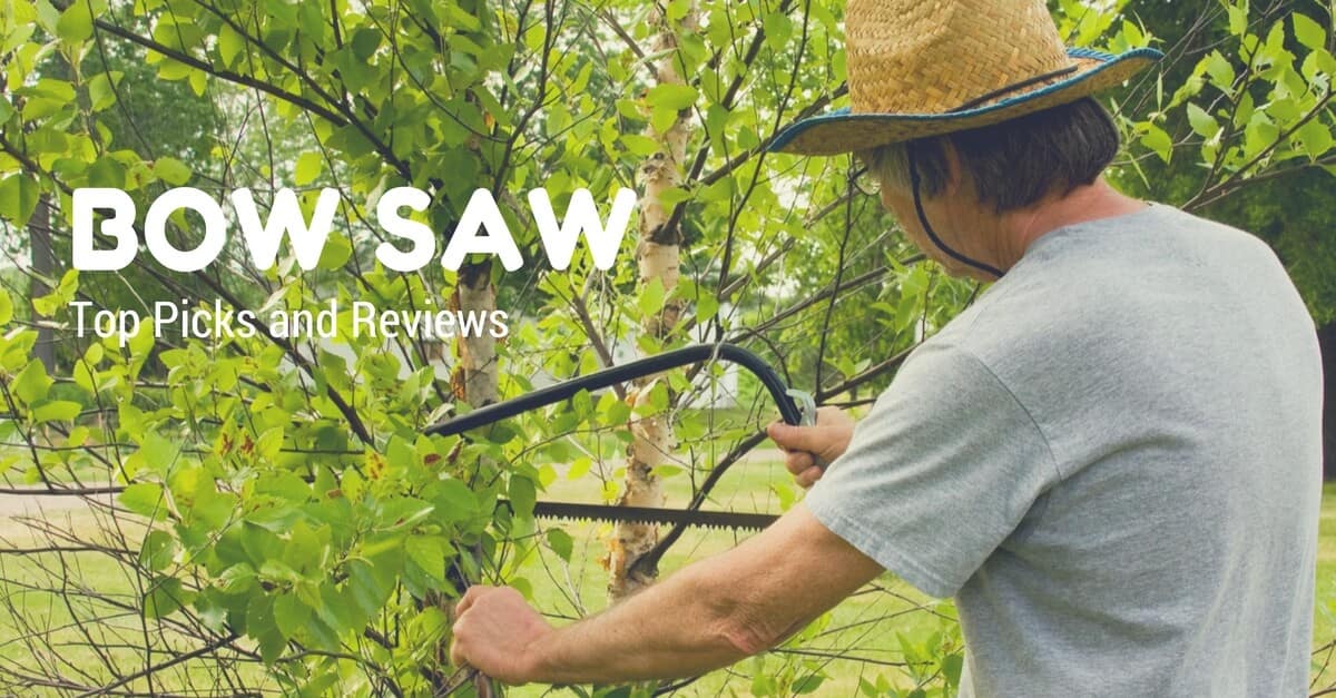 Best Bow Saws for Cutting Trees